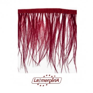 782. FRANGIA PIUME COLOR 8-10cm (1)