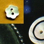 BOTTONI MADREPERLA FIORE lin.18 (24)