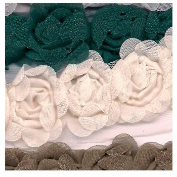 02/029 PASSAMANERIA ORGANZA ROSETTE (7)