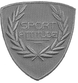 APPLICAZIONI RICAMATE TH MO007 (2)