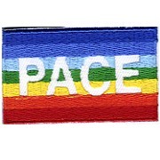 APPLICAZIONI RICAMATE MO656 (6)