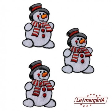 APPLICAZIONI RICAMATE TERMO916/B (3)