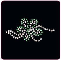 APPLICAZIONI STRASS TERMO SM234