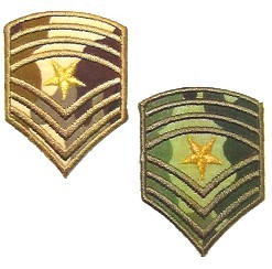 APPLICAZIONI RICAMATE TH MO472 (6)