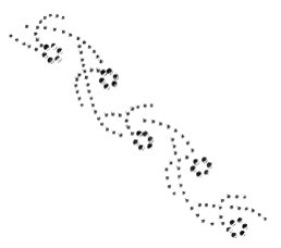 APPLICAZIONI STRASS TERMO BOR03