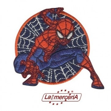 EMSP300 APPLIC.RICAM.TERMOAD. SPIDERMAN