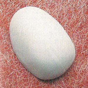 97/1S SPALLINE TERMOFORMATE S/ADES.