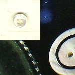 364.18 BOTTONE MADREPERLA INCAVO (24)