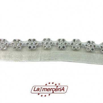 2504 PASSAMANERIA C/STRASS H.1,7cm (9)