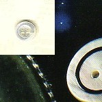 370.20 BOTTONI TROCAS COUV.TIPO D LIN.20