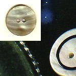 BOTTONI MADREPERLA NATURALE lin.20 (24)