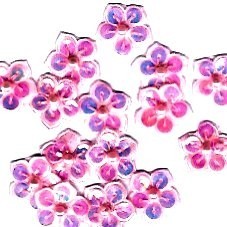 342042 APPLICAZ. FIORE PAILL. 20mm (25)