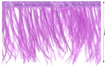 47099 FRANGIA CON PIUME H.10cm (5)