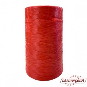 119980 RAFIA SINTETICA 6mm 470g COLORATA