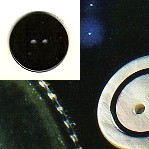 1204 lin 18 BOTTONI MADREPERLA NERA (24)