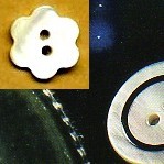 BOTTONI MADREPERLA FIORE lin.28 (24)