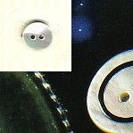 1464.20 BOTTONI MADREPERLA BIANCO