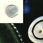 1464.28 BOTTONI MADREPERLA BIANCO