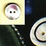 1464.32 BOTTONI MADREPERLA COLORATA