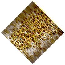 31002 CATENA METALLO OVALE 4x6mm (20)