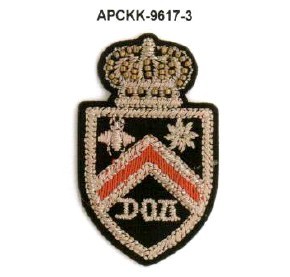 APCKK-9617-3 APPLICAZIONI RICAMATE (10)