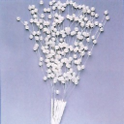 PERLE ORNAMENTALI BIANCHE 20cm (12)