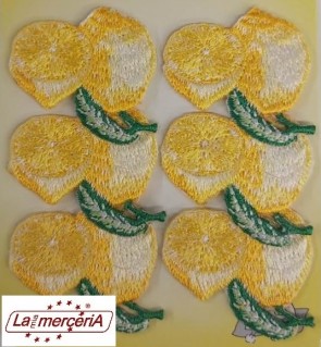 APPLICAZIONI RICAMATE APFU029 (6)
