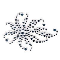 APPLICAZIONI STRASS TH SSD1214 (4)