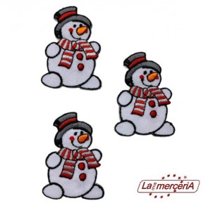 APPLICAZIONI RICAMATE TERMO916/B (3)