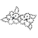 APPLICAZIONI STRASS TERMO SM298