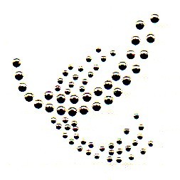 APPLICAZIONI STRASS TERMO SM312