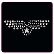 APPLICAZIONI STRASS TERMO SM369