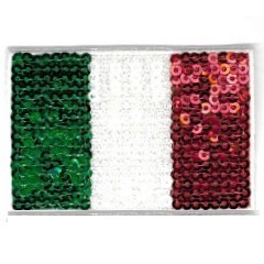 APPLICAZIONI PAILLETT.TRICOL M15393 (3)