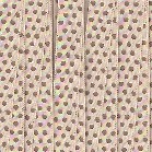 2252 NASTRO JACQUARD PALLINI 10mm (20)