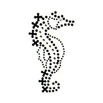 APPLICAZIONI STRASS TERMO SM455