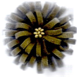 APPLICAZIONE FIORE IN LANA 85mm 8470