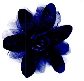 APPLICAZIONI CAMELIA TESSUTO 96762