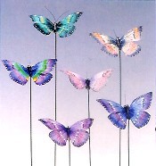 FARFALLE 7cm x6 ASSORTITE (12)