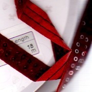 NASTRO VELLUTO PAILLETTES B-040701 15mm