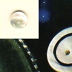 2936 lin.20 BOTTONI MADREPERLA (24)