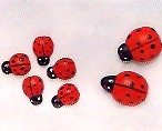 350.061 COCCINELLE 2,5cm 6pz