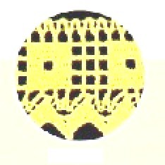 PIZZO COTONE COLORE 251 VANIGL 45mm (25)