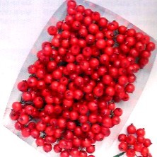 MAZZOLINO DI BACCHE 12 PEZZI 14mm