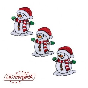 APPLICAZIONI RICAMATE TERMO783/B (3)