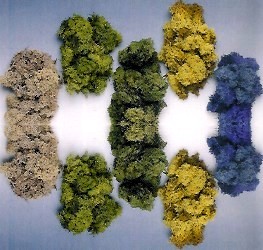 MUSCHIO ISLANDA 50gr BLU (5)