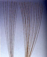 FILO PIOMBO 1mm ORO 25cm