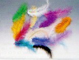 781.42 PIUME COLORI ASSORTITI 12cm 15pz