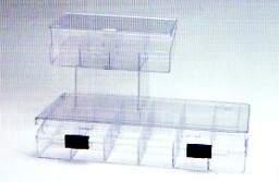 ORGANIZER 8-15-24 SCOMPARTI