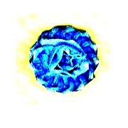 342287 APPLICAZIONE FIORE RASO TH (5)