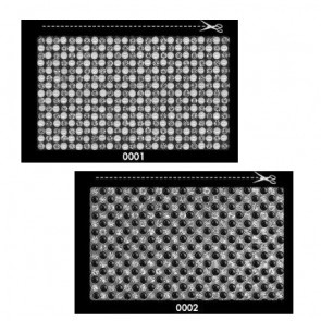 856300 STRASS/PERLE TERMOADESIVE 23x40